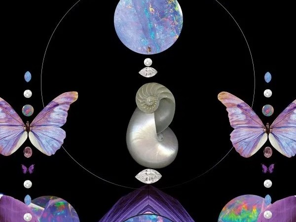 BIG GODDESS InnerG | Taurus New Moon&nbsp;✨