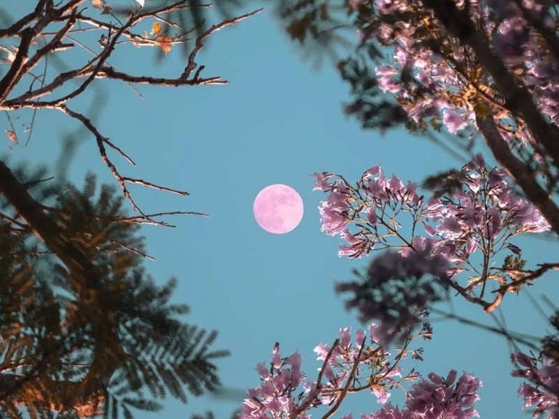 Humble Beginnings – Taurus Full&nbsp;Moon