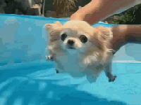 The  water sign that’s afraid of&nbsp;WATER